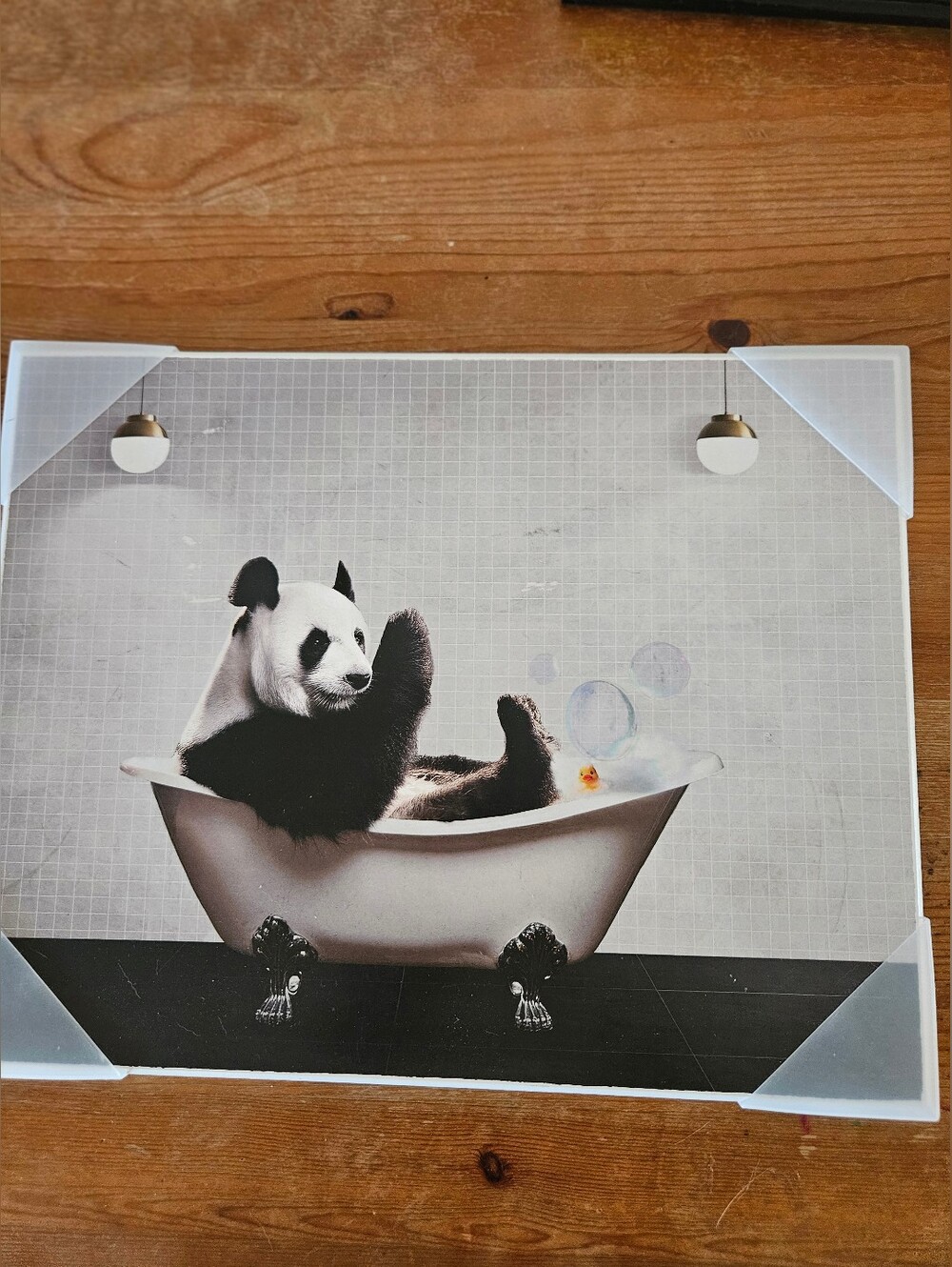 Panda in Bathtub Wall Art - Black & White